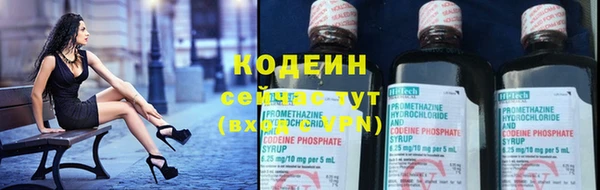 шишки Баксан