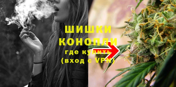 шишки Баксан