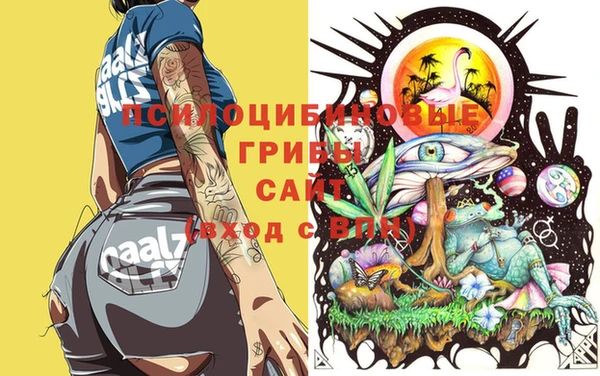 шишки Баксан